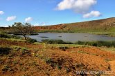 Velikonoční ostrov - Rano Raraku