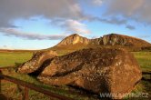 Velikonoční ostrov - Tongariki
