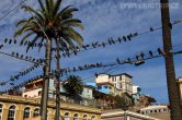 Chile - Valparaíso