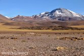 Chile - Atacama desert