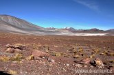 Chile - Atacama desert