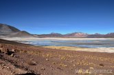 Chile - Atacama desert