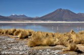 Chile - Atacama desert
