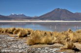 Chile - Atacama desert