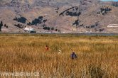 Peru - Puno - jezero Titicaca / Uros