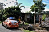 Panama - Bosque
