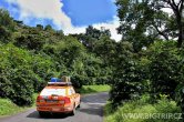 Panama - Bosque