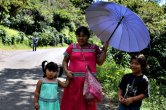 Panama - Bosque