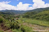 Panama - Bosque