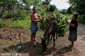 Nikaragua - Ometepe