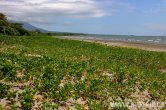 Nikaragua - Ometepe