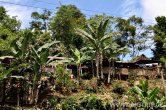 Guatemala