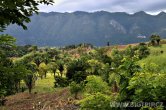 Guatemala