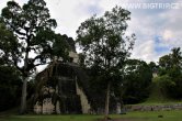 Guatemala - Tikal