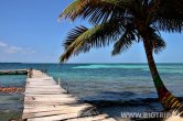 Belize - Tobacco Caye