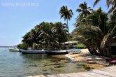 Belize - Tobacco Caye