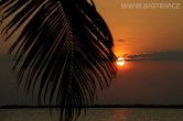 Belize - Tobacco Caye