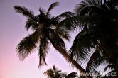 Belize - Tobacco Caye