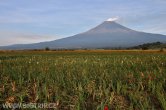 Mexiko - Popocatépetl