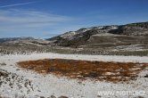 USA - Wyoming, NP Yellowstone