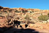 USA - Utah, NP Arches