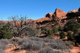 USA - Utah, NP Arches