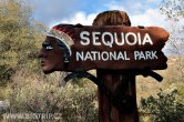 USA - California, Sequoia NP
