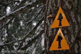 USA - California, Sequoia NP
