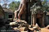 Kambodža - Siem Reap