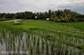Indonésie - Bali