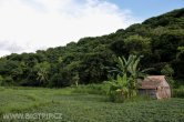 Indonesie - Bali - Selang