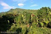 Indonesie - Bali - Selang