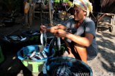 Indonesie - Bali - Selang