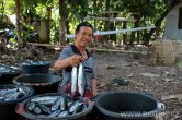 Indonesie - Bali - Selang