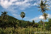 Indonesie - Bali - Selang