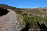 Austrálie - Mt. Kozsciuszko
