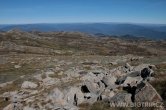 Austrálie - Mt. Kozsciuszko