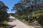 Austrálie - Mt. Kozsciuszko