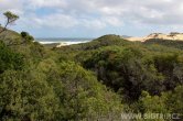 Austrálie - Wilsons promontory NP