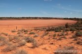 Austrálie - Oodnadatta track
