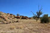 Austrálie - Alice Springs