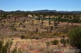 Austrálie - West MacDonnell NP