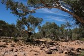 Austrálie - West MacDonnell NP