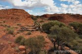 Austrálie - Kings Canyon NP