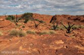 Austrálie - Kings Canyon NP