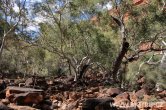 Austrálie - Kings Canyon NP