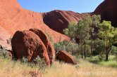 Austrálie - Uluru - Kata Tjuta NP