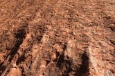 Austrálie - Uluru - Kata Tjuta NP