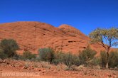 Austrálie - Uluru - Kata Tjuta NP