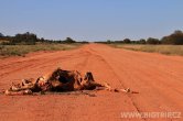 Austrálie - The Great Central Road